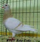 wpe1.jpg (23328 Byte)