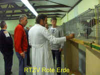 wpe9.jpg (31631 Byte)