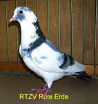 wpeF.jpg (25421 Byte)